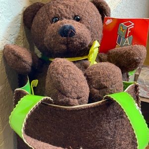 Teddy Bear in a Bag